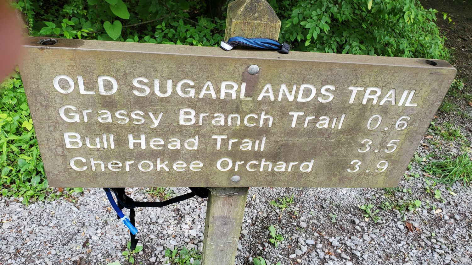 Old Sugarlands Trail 